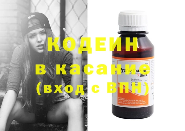 прущие грибы Бородино