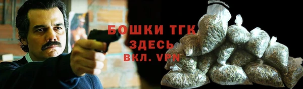 прущие грибы Бородино