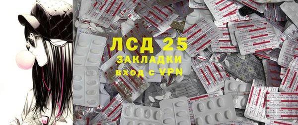 прущие грибы Бородино