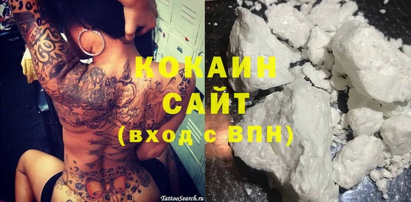 прущие грибы Бородино