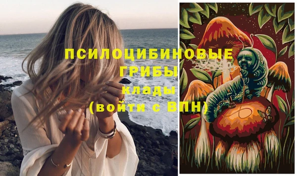 прущие грибы Бородино