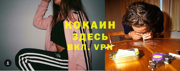 прущие грибы Бородино