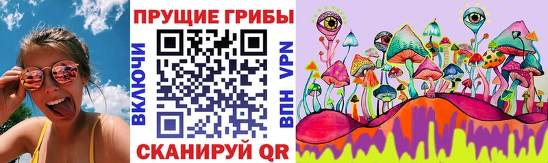 Купить где  Макушино  Галлюциногенные грибы Cubensis 